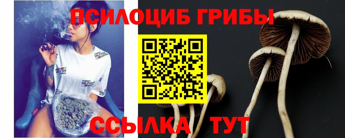 Псилоцибиновые грибы Magic Shrooms  Псилоцибиновые грибы MAGIC MUSHROOMS  Вход с VPN  Узловая 